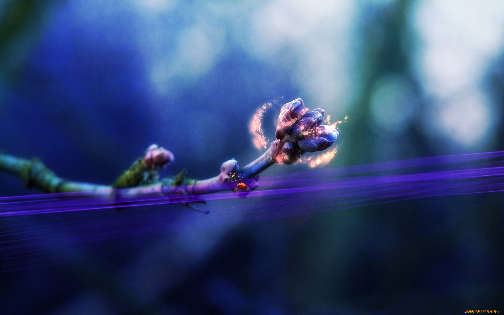 3, , nature, landscape, 
